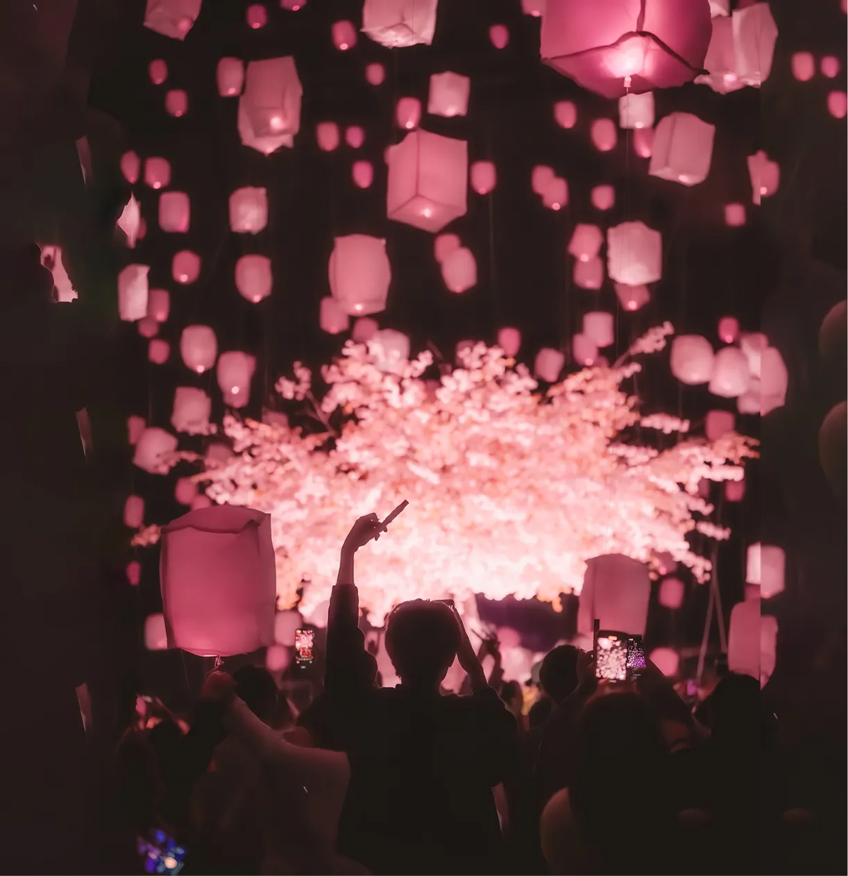 ランタンリリース